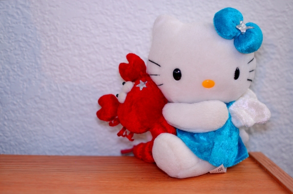 Day 5 - One of my Sanrio Plushes... there are plenty more >.>