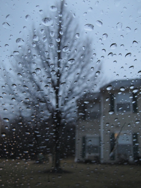 Day 22 - Through Rainy Windshields~