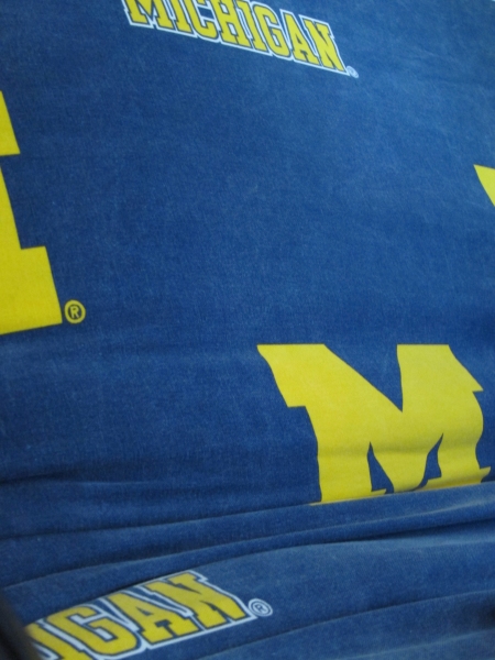 Day 185 - Go Blue
